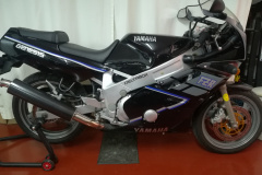 Yamaha_FZR600