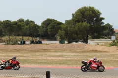 Calafat_rodada-20