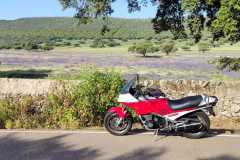 Yamaha-FJ1100-Dehesa-Extremena
