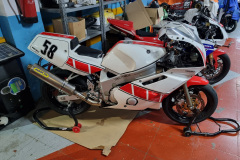 Yamaha-FZR600-Amadeu-F